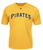 Pittsburgh Pirates Dri Fit Evolution Shirt
